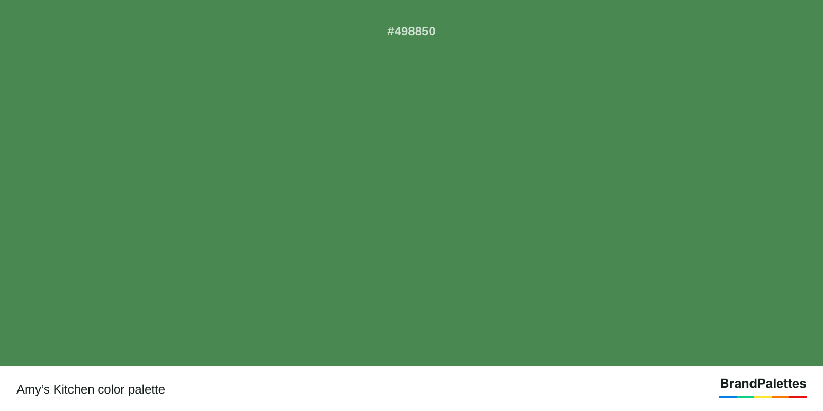 Amy’s Kitchen color palette with Middle Green #498850