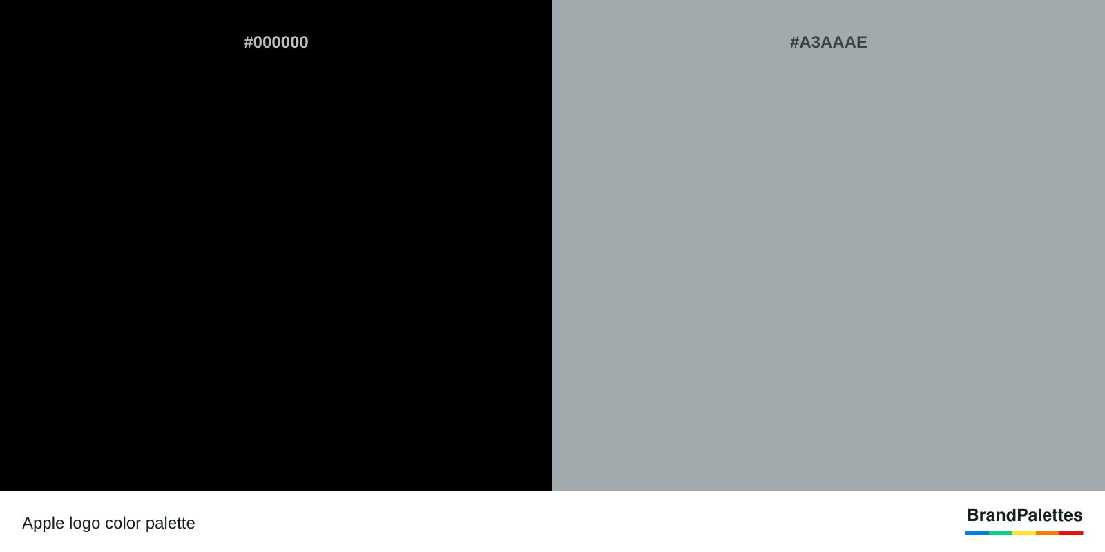 Apple color palette with Black #000000, Blue #A3AAAE