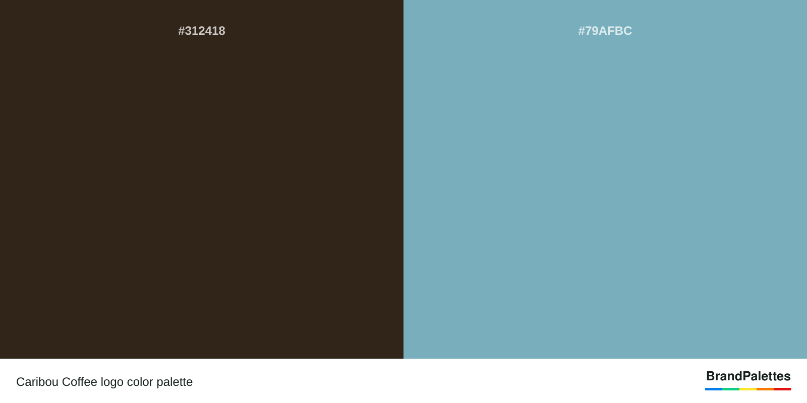 Caribou Coffee color palette with Brown #312418, Blue #79AFBC