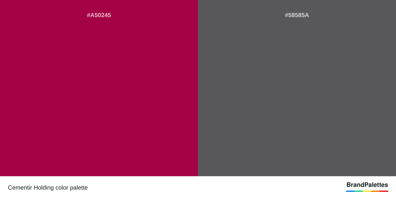 Cementir Holding color palette with Rose Garnet #A50245, Davy’S Grey #58585A