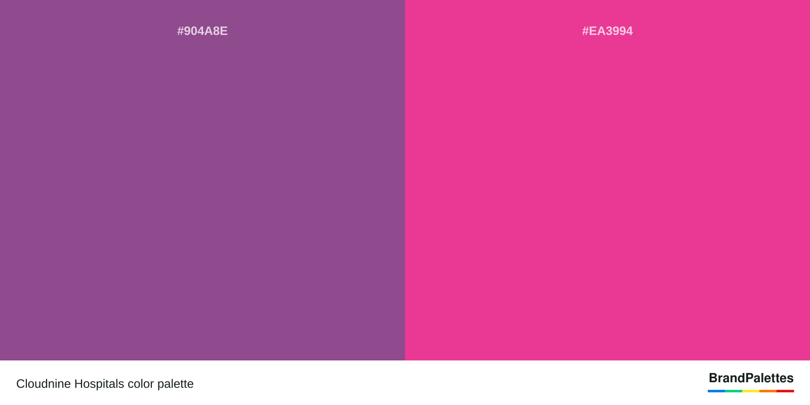 Cloudnine Hospitals color palette with Razzmic Berry #904A8E, Royal Pink #EA3994