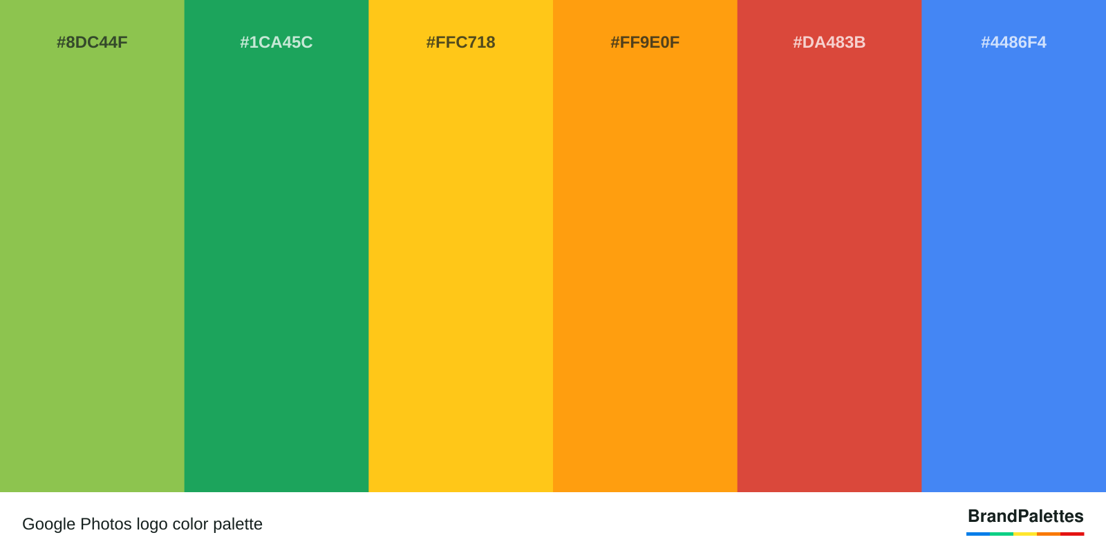 Google Photos color palette with Dollar Bill #8DC44F, Shamrock Green #1CA45C, Deep Lemon #FFC718, Dark Tangerine #FF9E0F, Cinnabar #DA483B, Blueberry #4486F4