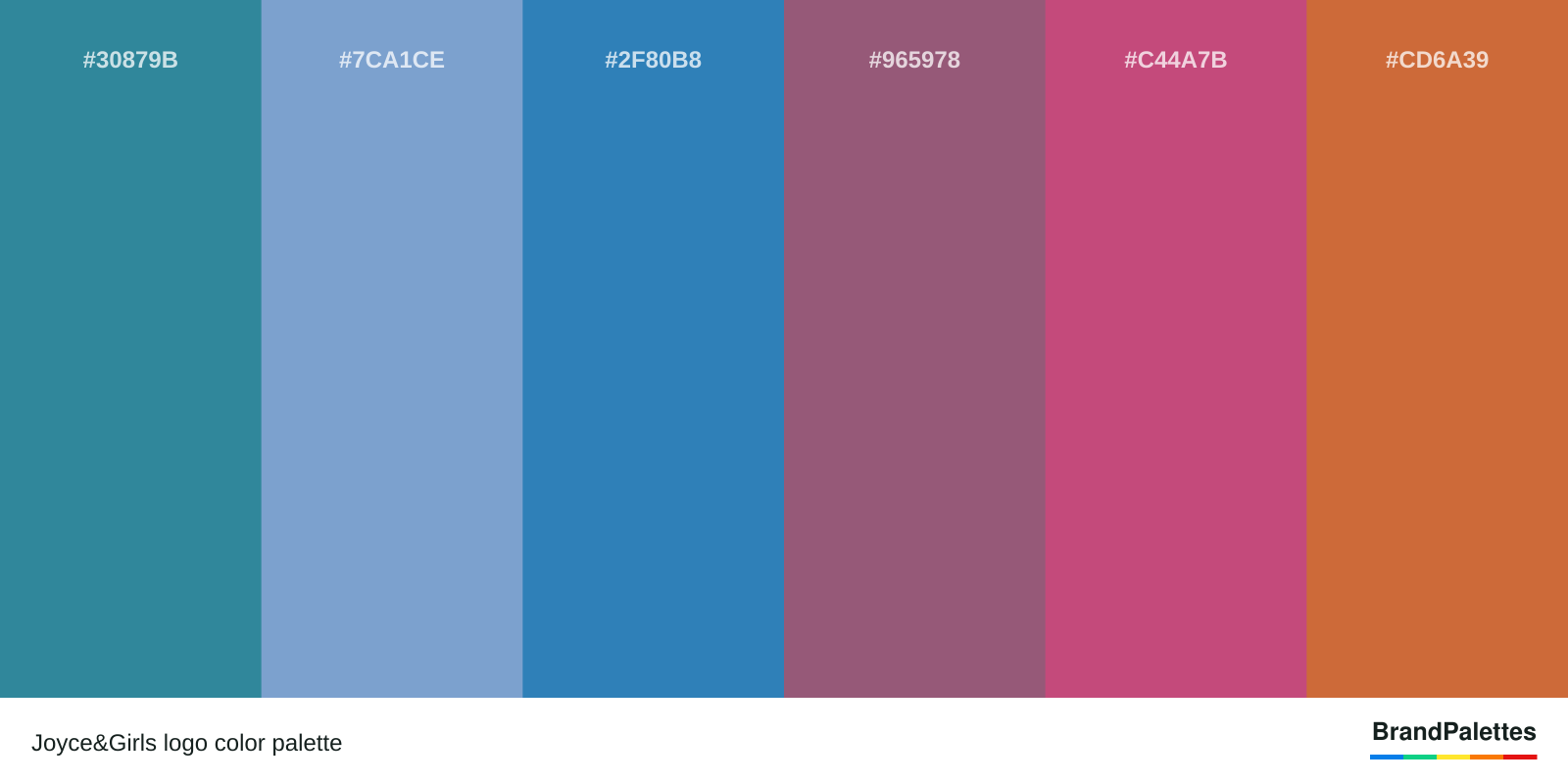 Joyce&Girls color palette with Teal Blue #30879B, Carolina Blue #7CA1CE, Azure Blue #2F80B8, Antique Mauve #965978, Fuchsia Rose #C44A7B, Burnt Orange #CD6A39