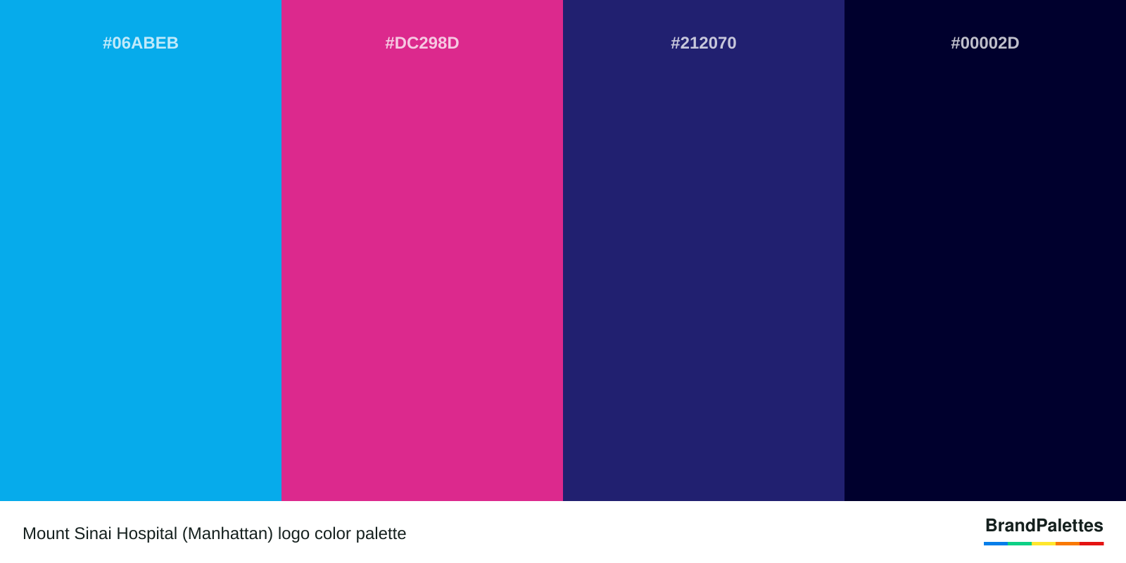 Mount Sinai Hospital (Manhattan) color palette with Vivid Cerulean #06ABEB, Barbie Pink #DC298D, St. Patrick’S Blue #212070, Cetacean Blue #00002D