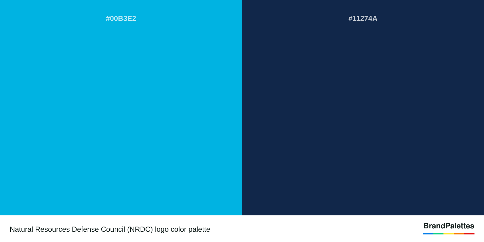 Natural Resources Defense Council (NRDC) color palette with Process Cyan #00B3E2, Space Cadet #11274A