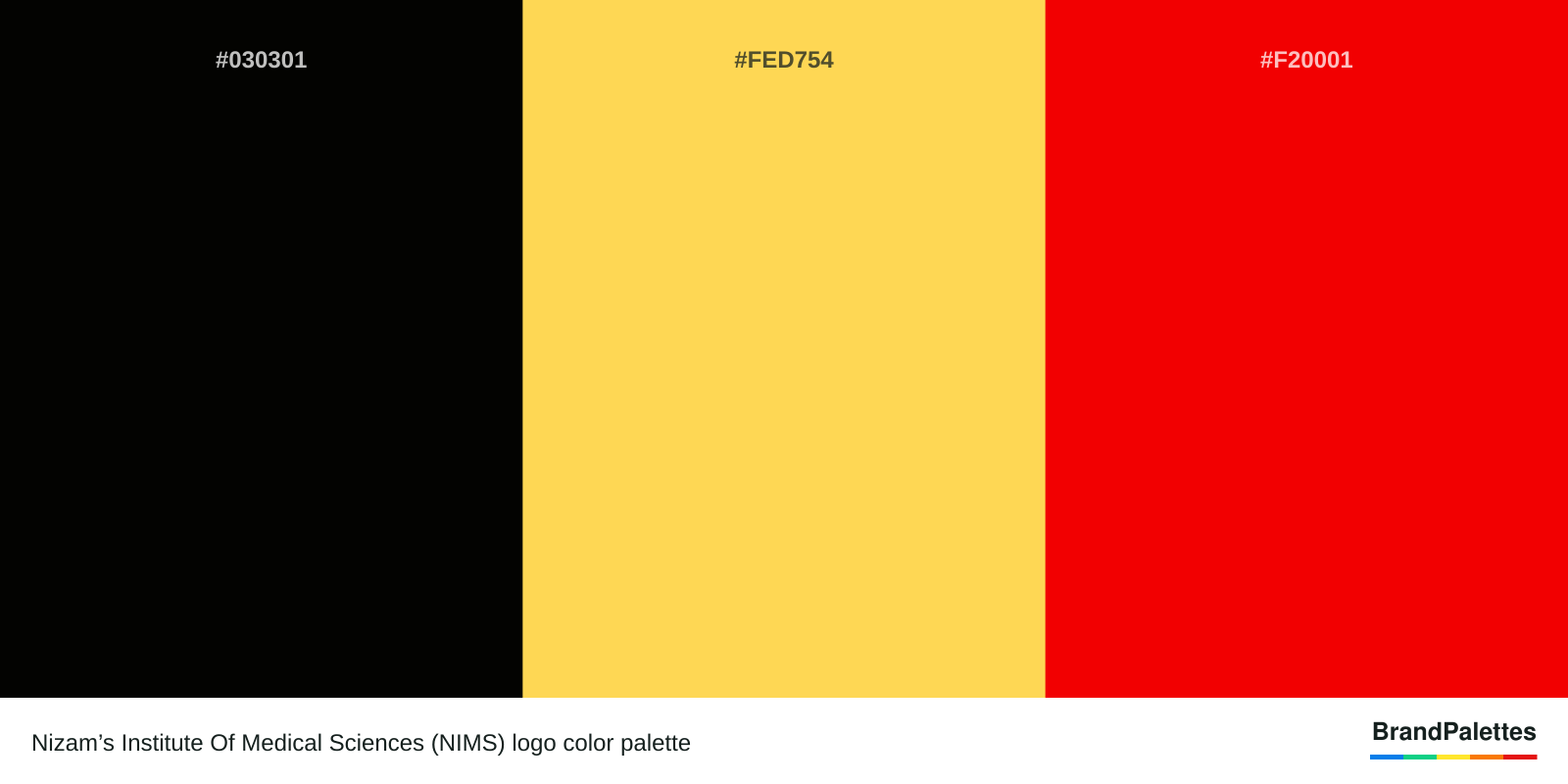 Nizam’s Institute Of Medical Sciences (NIMS) color palette with Rich Black #030301, Mustard #FED754, Electric Red #F20001
