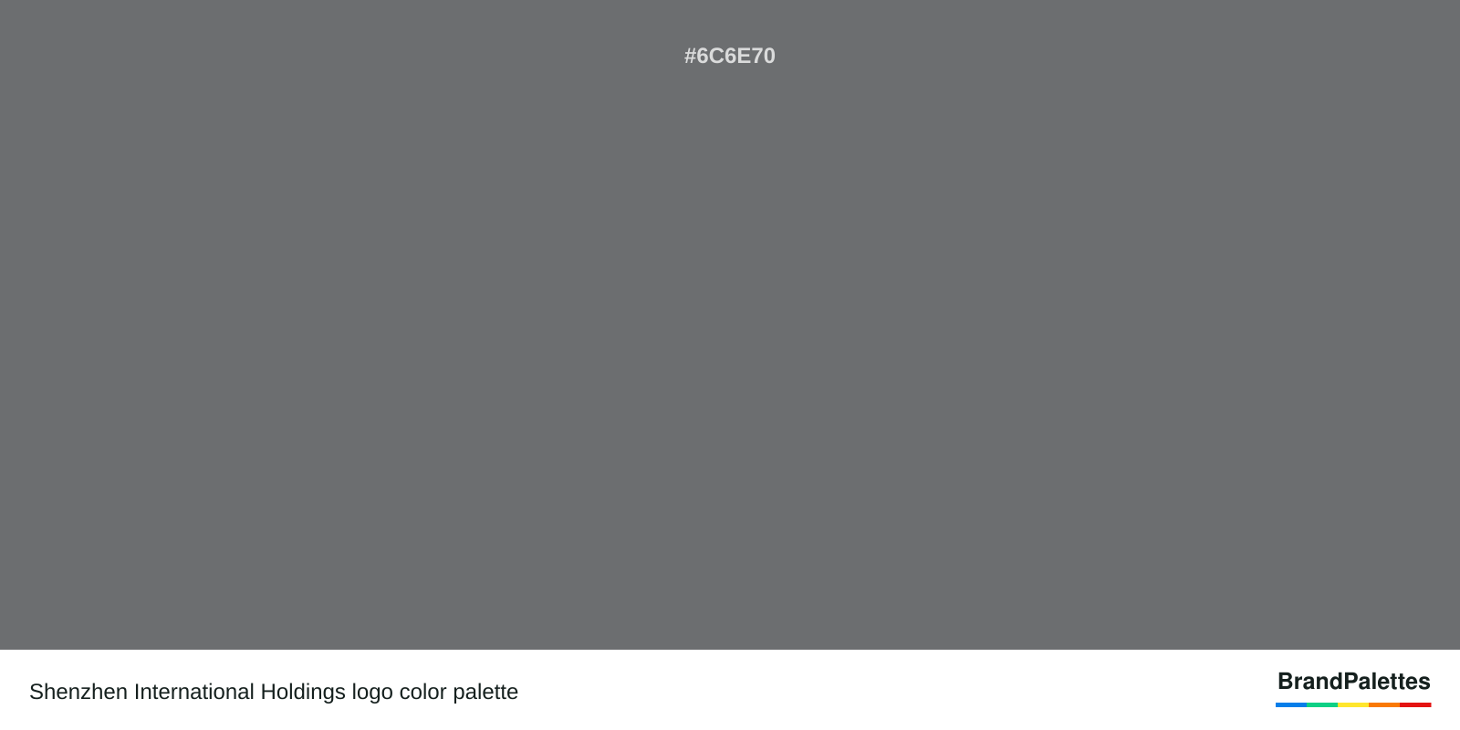 Shenzhen International Holdings color palette with Dark Silver #6C6E70
