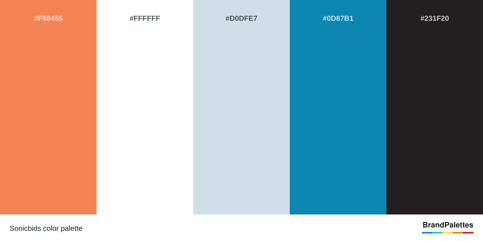 Sonicbids color palette with Coral #F58455, White #FFFFFF, Columbia Blue #D0DFE7, Ncs Blue #0D87B1, Raisin Black #231F20