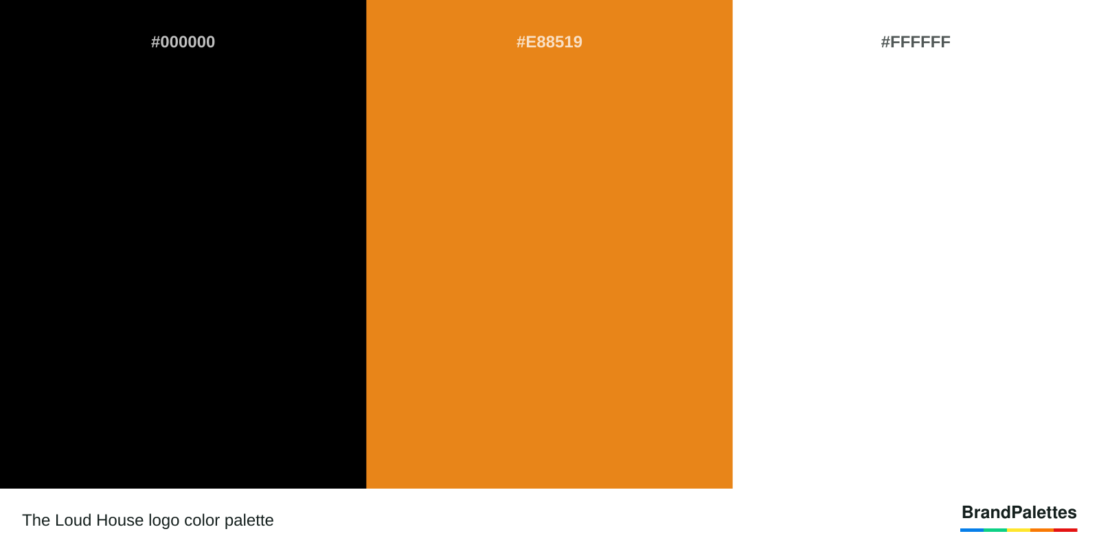 The Loud House color palette with Black #000000, Orange #E88519, White #FFFFFF