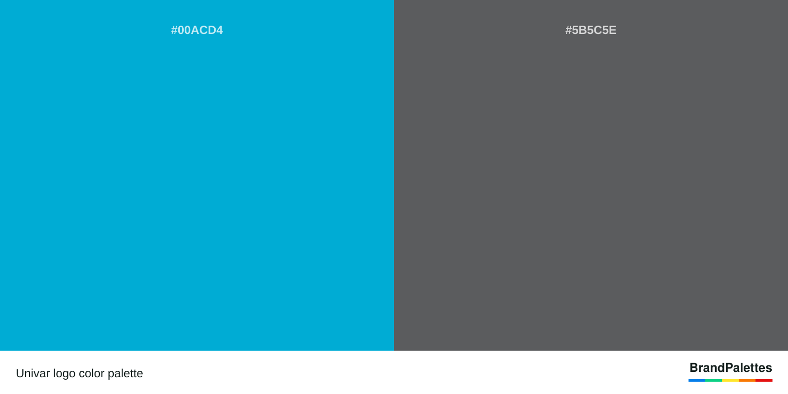 Univar color palette with Process Cyan #00ACD4, Davy’S Grey #5B5C5E