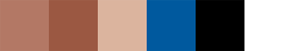 Samuel Adams Beer Color Palette Image