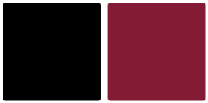 Buckle Logo Color Palette Image