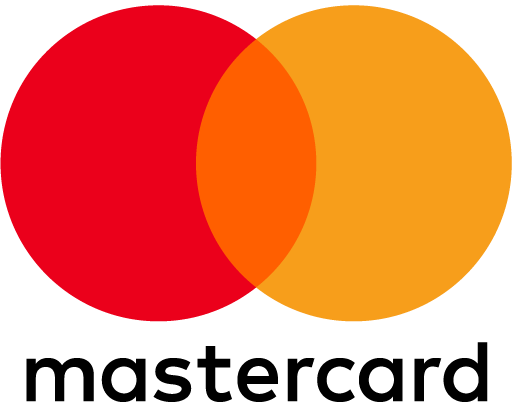 google logo colors