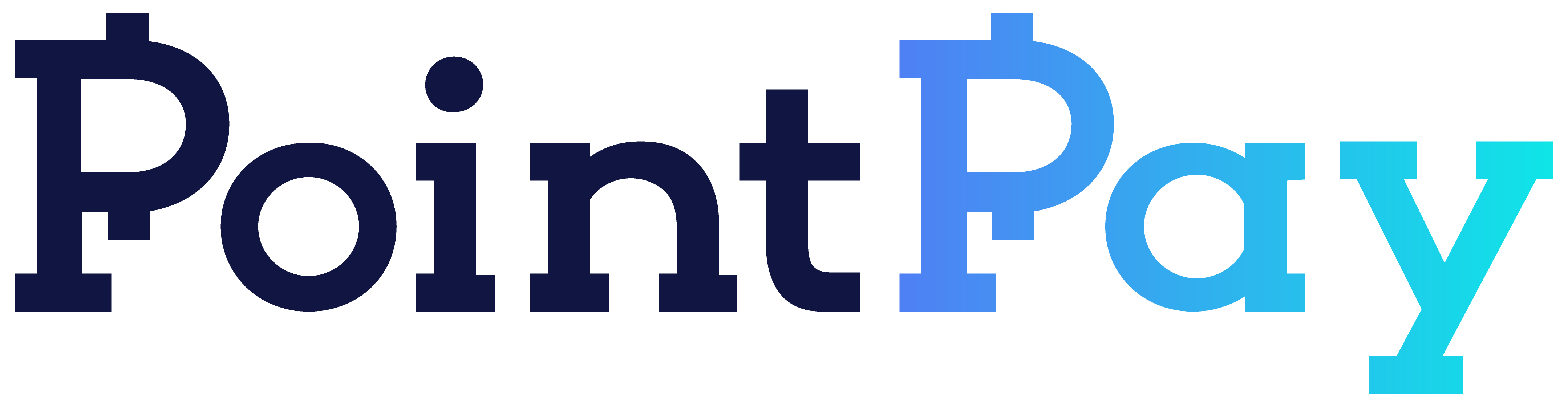 PointPay logo colors