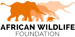 African Wildlife Foundation Logo in JPG format