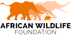 African Wildlife Foundation Logo in PNG format