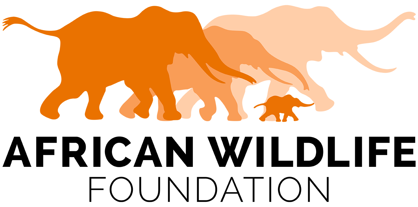 African Wildlife Foundation Colors