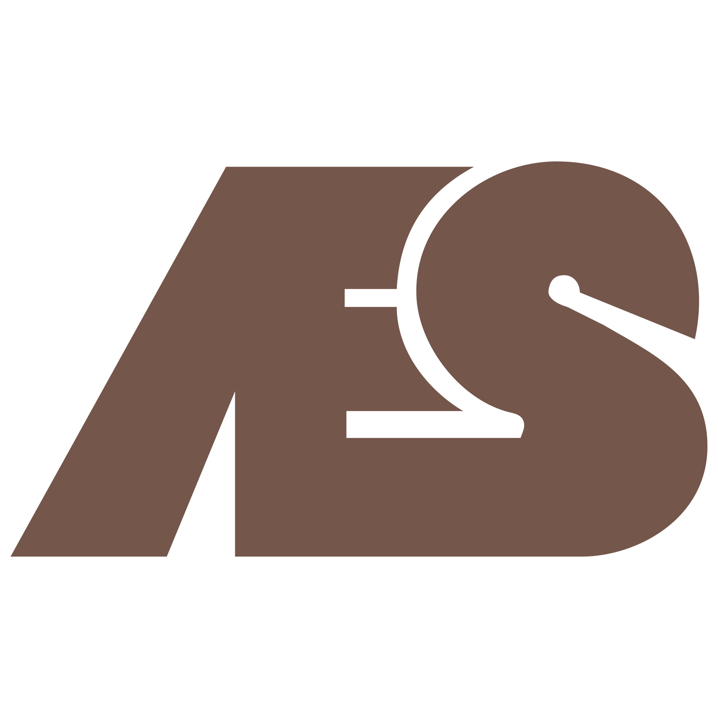 AES Corporation logo colors