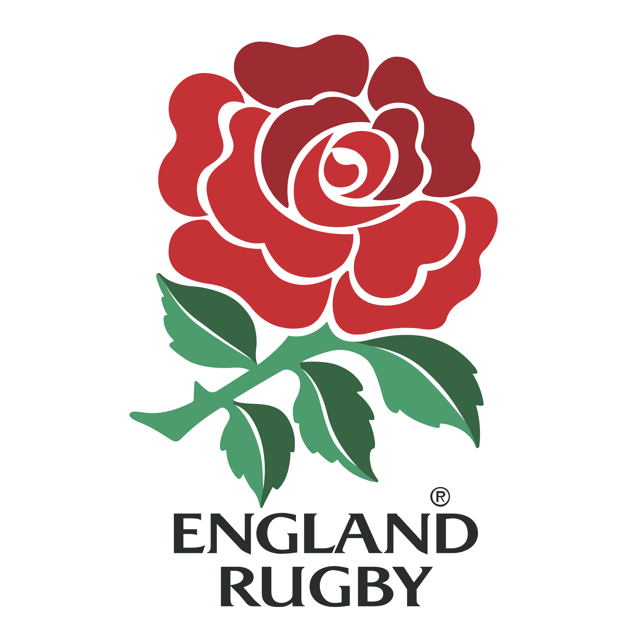 England National Rugby Union Team logo colors