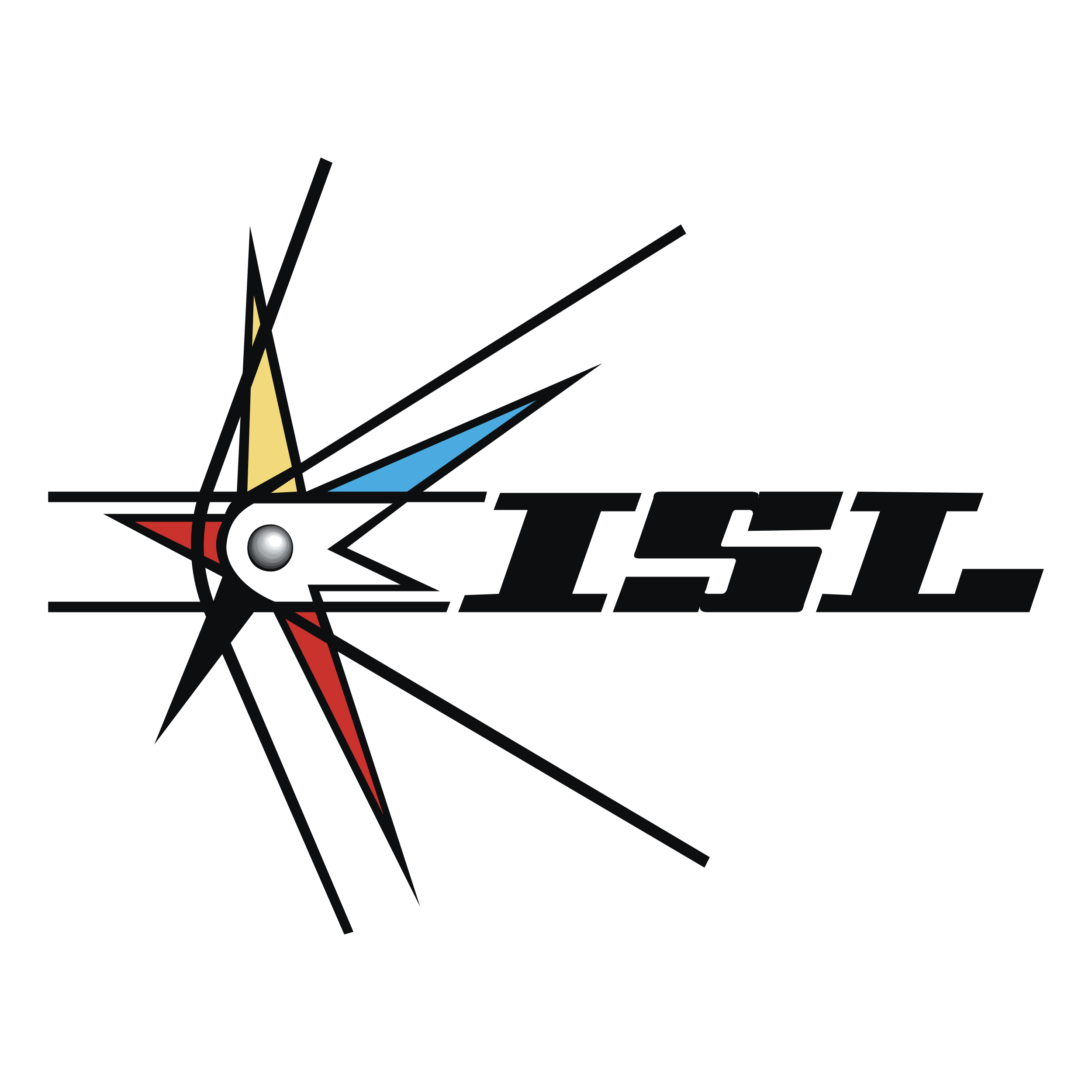 ISL – Delhi Dynamos FC logo colors