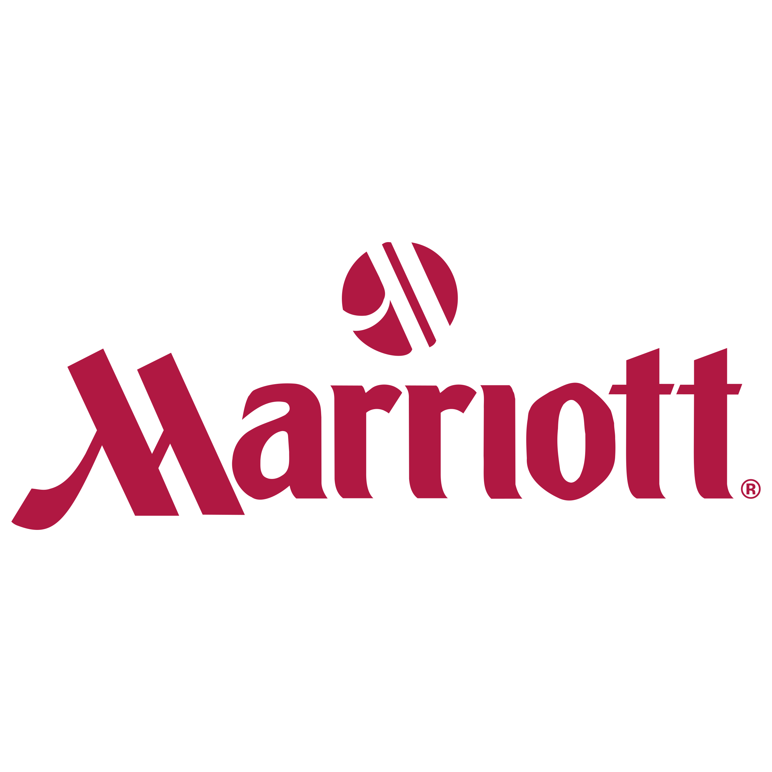 Marriott International logo colors