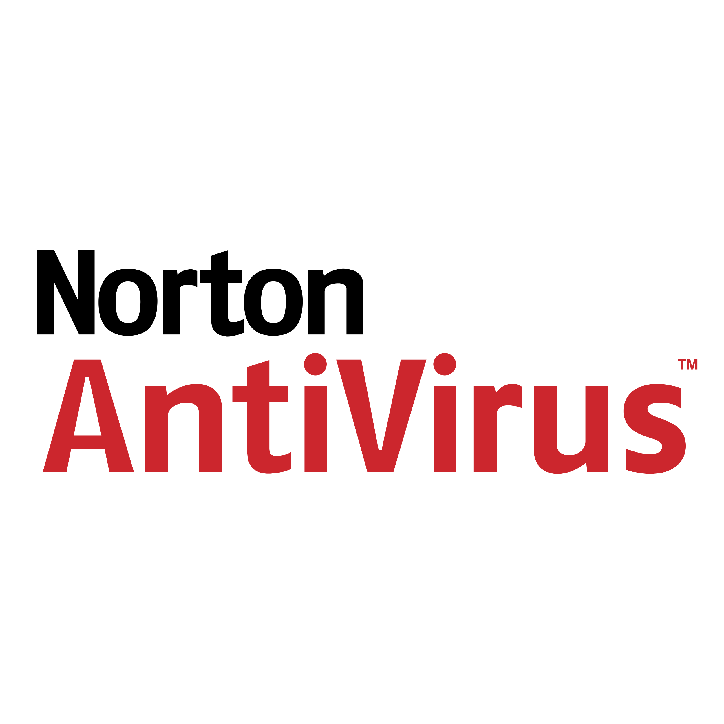 Norton AntiVirus (Symantec Corporation) logo colors