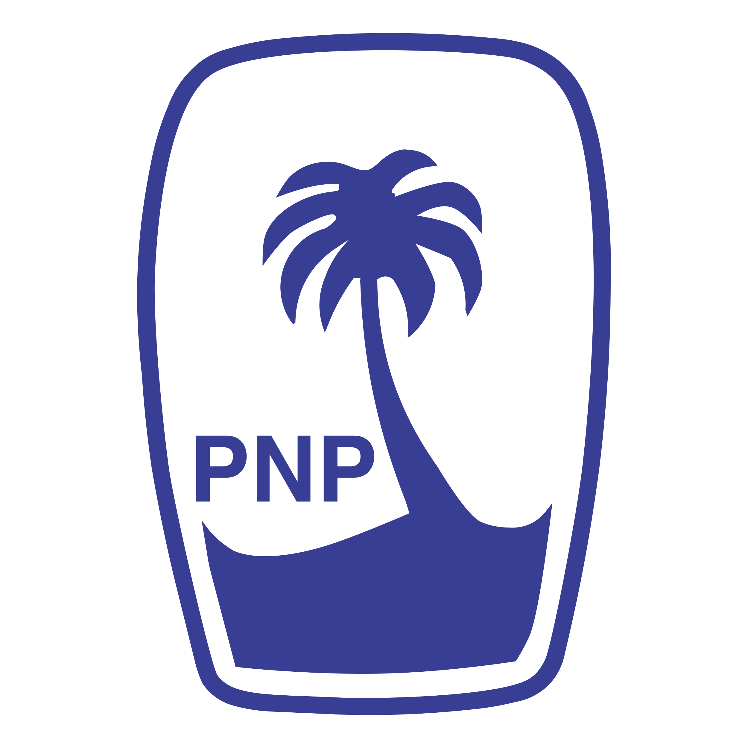 PKL – Puneri Paltan (PNP) logo colors