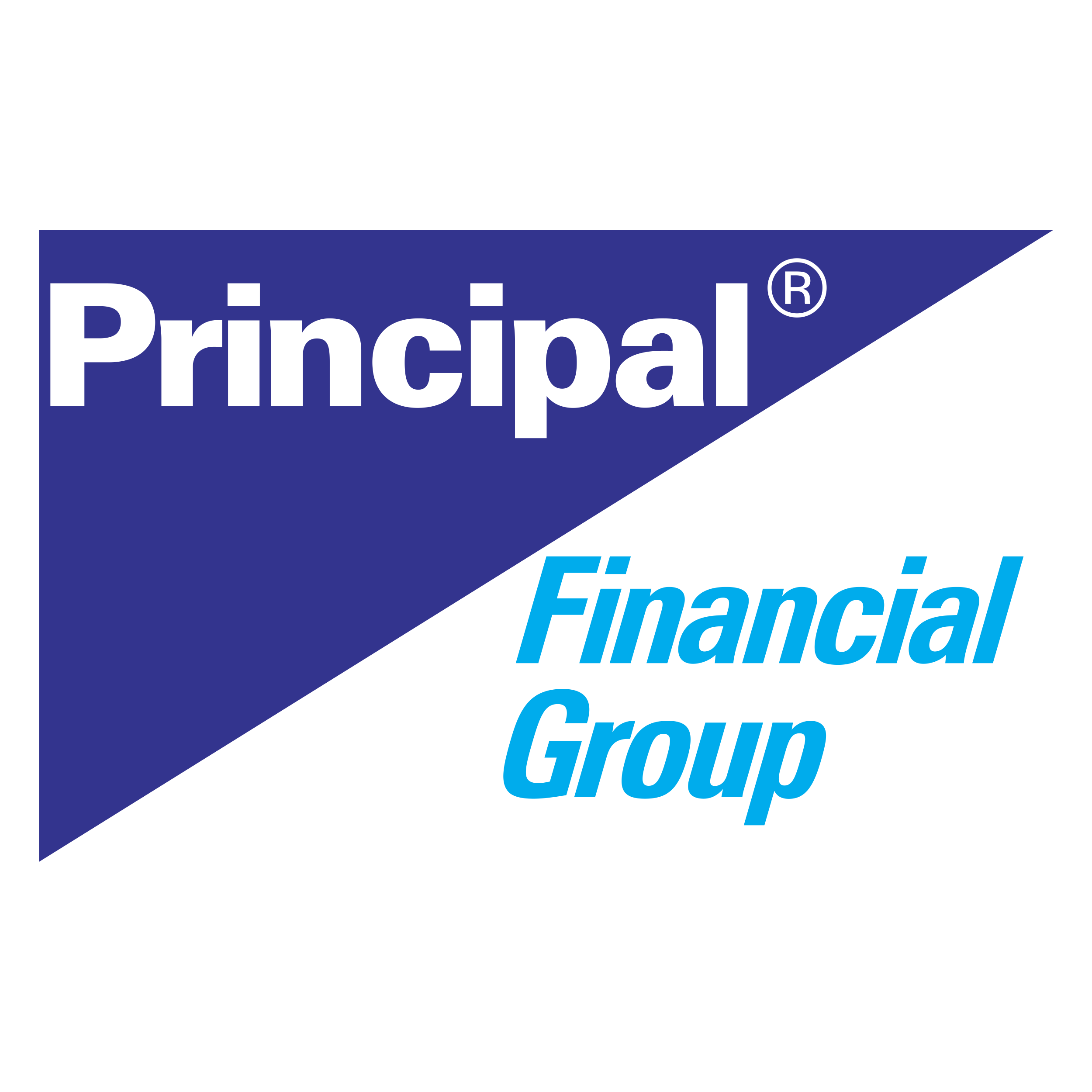 Principal Financial logo colors