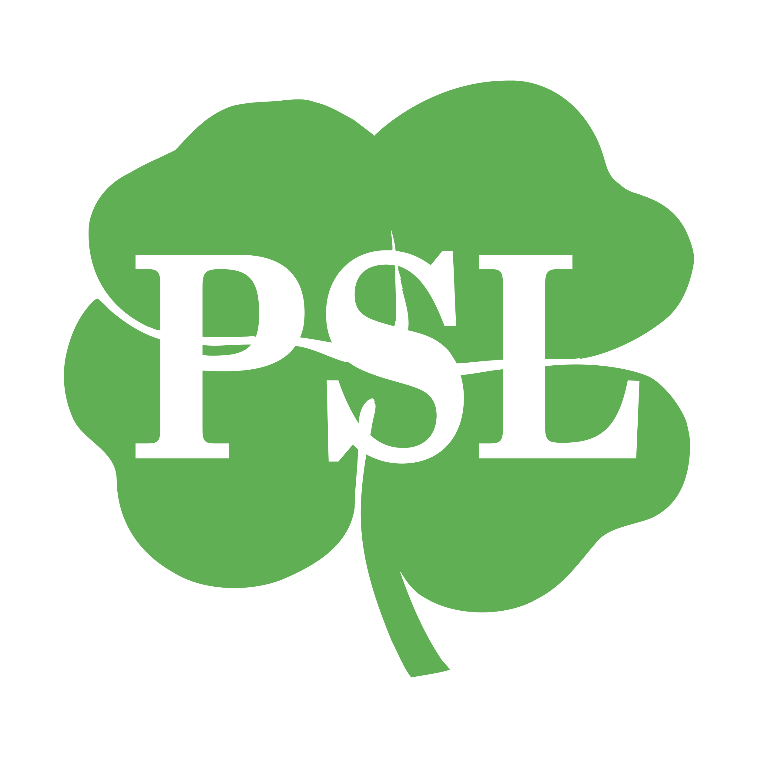 PSL – Peshawar Zalmi logo colors