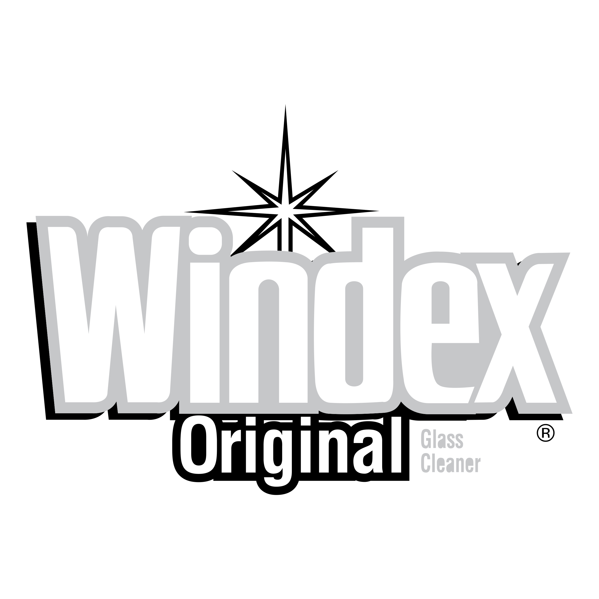 Windex logo colors