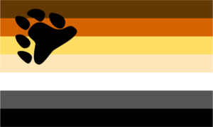 Bear Colors