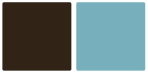 Caribou Coffee Color Palette Image
