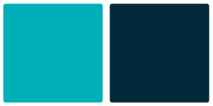 Fitbit Color Palette Image