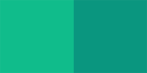 Amphibia Color Palette Image