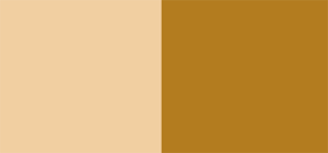 The Owl House Color Palette Image