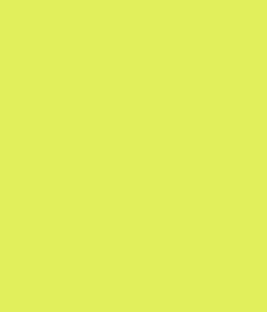 Lemon Beret Color Palette