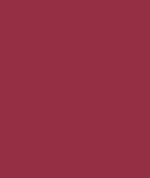 Polo Red Color Palette